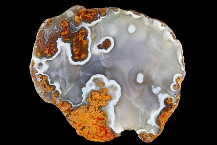 Beautiful, Polished Plume Agate - Kerrouchen, Morocco #181334